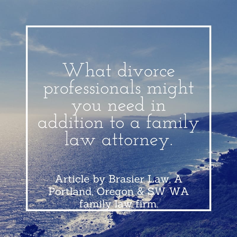 Portland divorce professionals 