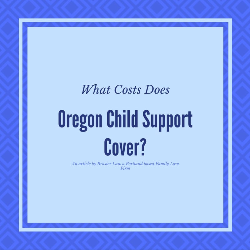 What does the child support cover anyway?